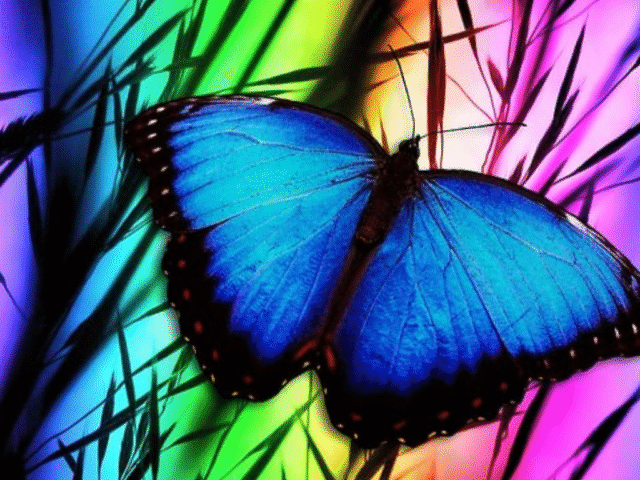 Aprende a adaptarte al cambio